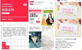 白手起家女企业家,逆境中绽放的创业传奇 白手起家女企业家,逆境中绽放的创业传奇