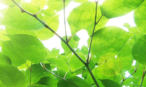 宝妈的福音,那些副业中绽放的黄金机会 宝妈的福音,那些副业中绽放的黄金机会